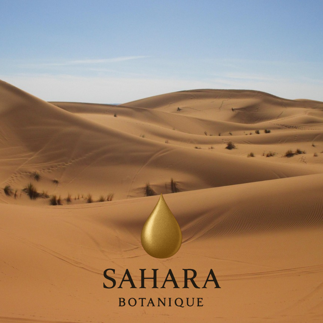 Argan Olie: Sådan Produceres Det