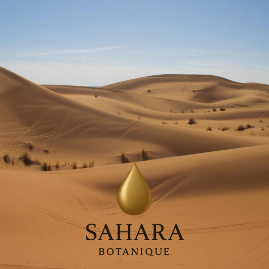 Argan Olie: Sådan Produceres Det